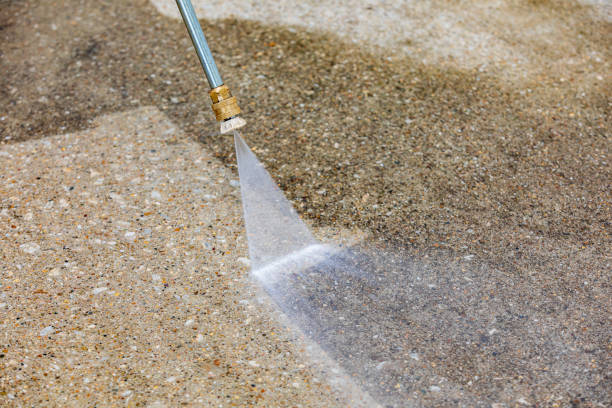 Best Paint Preparation  in Wheaton, MN